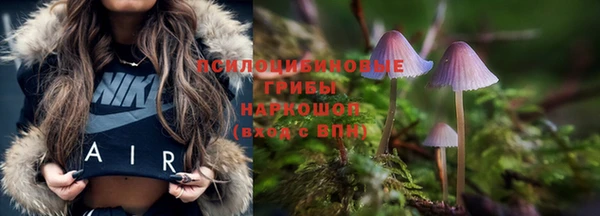 соль ск Абаза