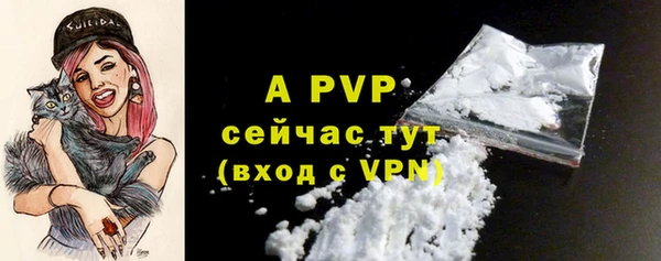 соль ск Абаза
