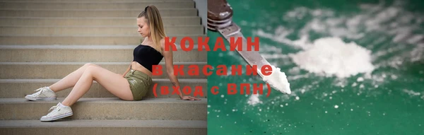 apvp Алзамай
