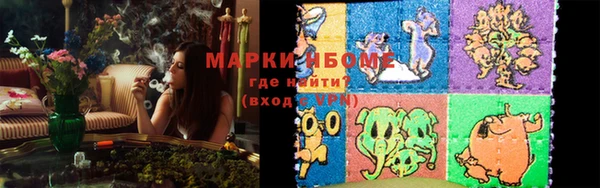 apvp Алзамай